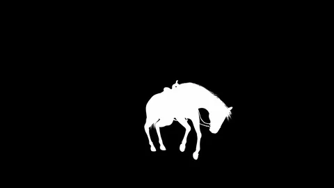 3D Stallion Horse Fall Animation Silhoue... | Stock Video | Pond5
