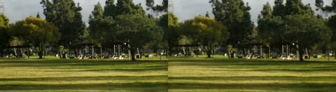 3D Stereoscopic Timelapse Clouds and Trees 02 TU Side by Side Stock Footage