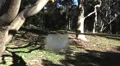 3D Stereoscopic Water Balloon Set 02 R Eye 1000fps Slow Motion HD Footage