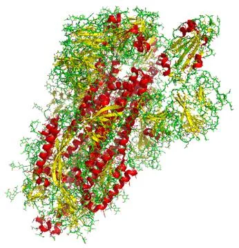 3D structure of the 2019-nCoV coronavirus spike, a target for vaccine against Stock Illustration