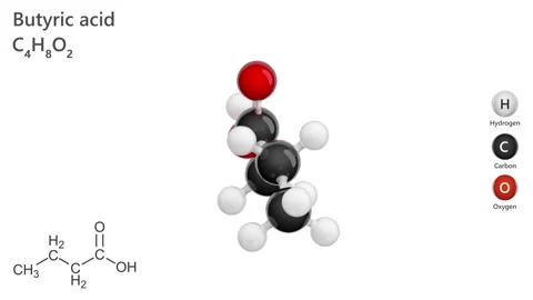 3D structure of Butyric acid C4H8O2. White back. 3D render. Seamless loop Stock Footage 286708095