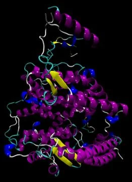 3D structure of the human ACE2 enzyme, the coronavirus SARS-CoV-2 entry point Stock Illustration