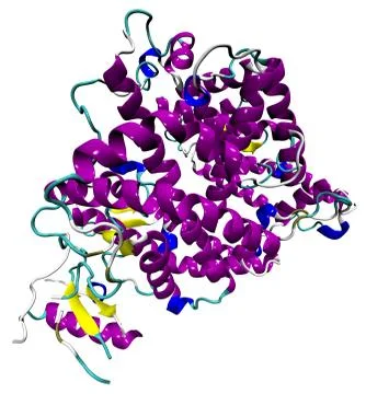 3D structure of the human ACE2 enzyme, the coronavirus SARS-CoV-2 entry point Stock Illustration