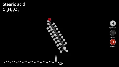 3D structure of the octadecanoic acid molecule C18H36O2. black back Video stock 284222626