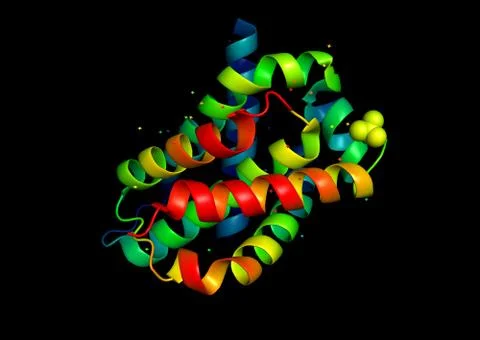 3d structure of the protein molecule. Stock Photos
