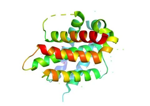 3d structure of the protein molecule. Stock Photos