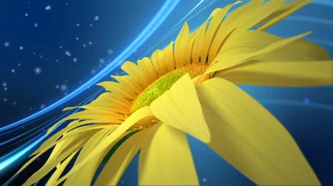 3D Sun Flower Stock Footage 24737528
