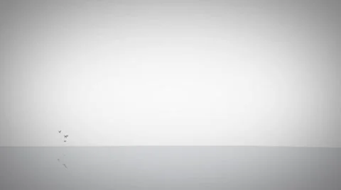 3d Target Logo Stock After Effects