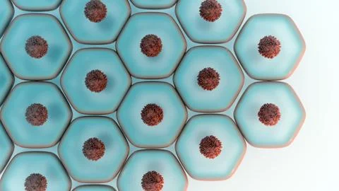 A 3D teal hexagonal cells with dark nuclei Stock Illustration