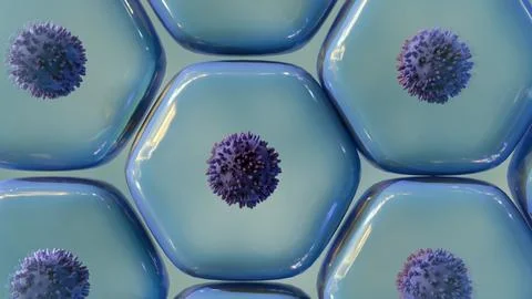 A 3D teal hexagonal cells with dark nuclei. Stock Illustration