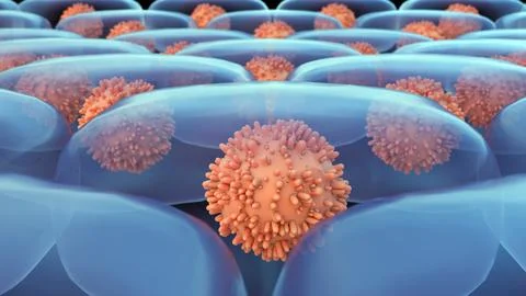 A 3D teal hexagonal cells with dark nuclei. Stock Illustration