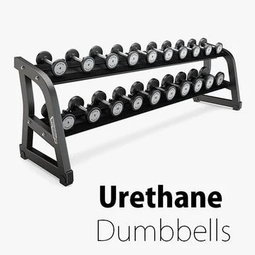 3D Technogym - Free Weight Urethane Dumbbells 3D Model