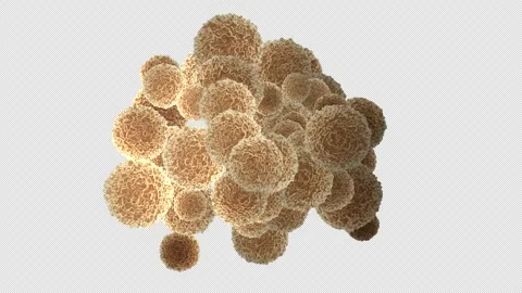 3D textured DNA bacteria cells multiply and flow gently on black screen Stock Footage 322091251