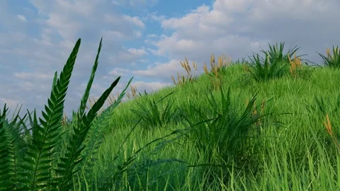 3D time-lapse animation of a vibrant green hill covered in dense grass and ferns Stock Footage 312357756