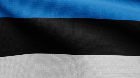 3D, tonian flag waving on wind. Close up of Estonia banner blowing soft silk. Ilustração Stock