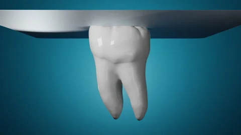 3D tooth covered by protection layer Stock Footage 166567037