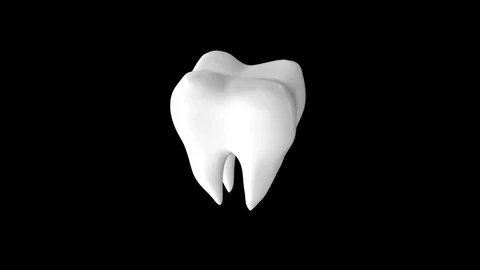 3D TOOTH Video stock 81836849