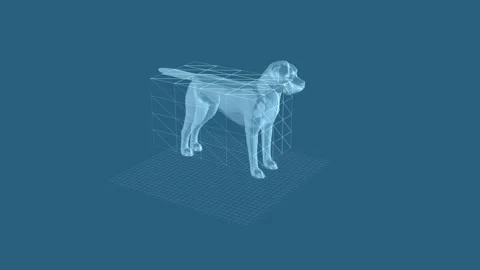 3D Transparent Dog Model in Geometric Framework on Blue Background Grid 库存影片 343035358