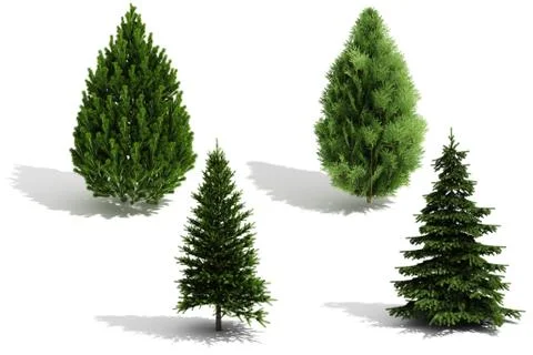 3d tree pack - render on white background Stock Illustration