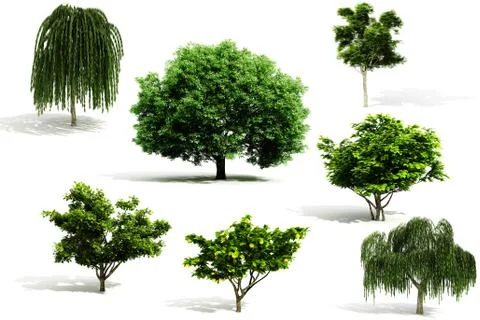 3d tree pack - render on white background Stock Illustration