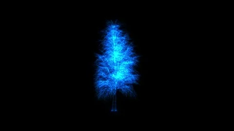 3D Tree Spinning Animation 動画素材 276691580