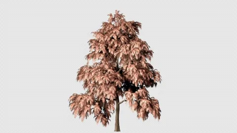 3d tree with yellow leaves Stock Footage 310606922