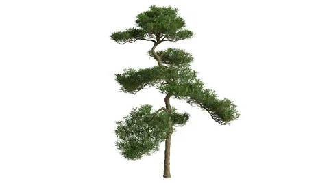 3D Trees Background Scene White Stock Illustration