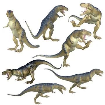 3d Trex different poses Ilustración de archivo