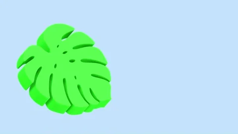 3D Tropical Plant Leaf Floating Gently on White Background Seamless Loop Stock Footage 337259094