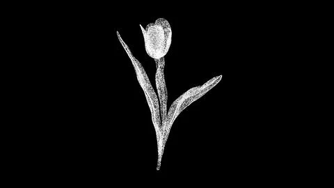 3D Tulip on black background. Spring Flower concept. Tulip with petals. Business Illustrazione stock
