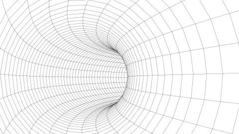 3D tunnel grid.Wireframe 3D surface tunnel.Grid texture. Stock Illustration