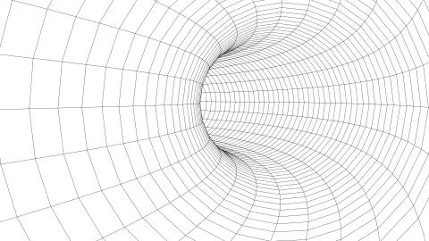 3D tunnel grid.Wireframe 3D surface tunnel.Grid texture. Stock Illustration