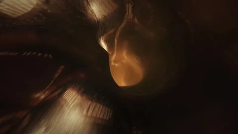 3D Tunnel, Vortex, VJ Loop, Orange Slime, Wet Surface Stock Footage 255568410