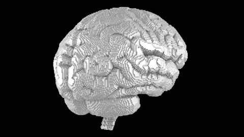 3D turntable pixel art pattern style on white brain surface on black background Stock Footage 159328422