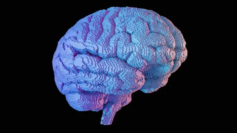 3D turntable pixel art pattern style on brain surface on black background Stock Footage 159332444