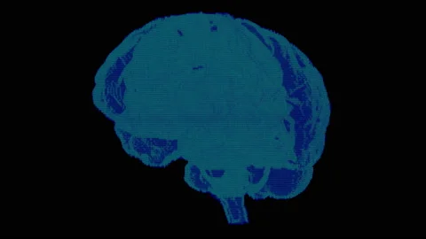 3D turntable x-ray on brain on black background Stock Footage 159328680