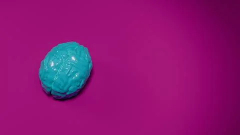 3d turquoise brain model glossy reflective surface on fuchsia background.. Stock Photos