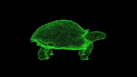3D Turtle on black background. Underwater Marine World concept. Marine fauna Stock Illustration