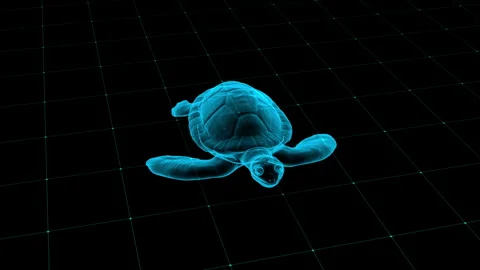 3D Turtle Hologram on Grid Background Showing Futuristic Digital Concept 库存影片 343124655