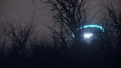 3d ufo flew over the wild forest at night Stock Footage 101432045