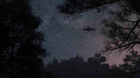 3d ufo flew over the wild forest at night Stock Footage 101634474