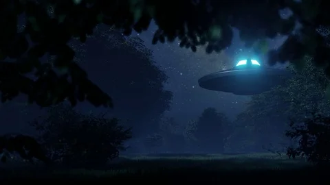 3d. Ufo flew over the wild forest at night Stock Footage 121211655