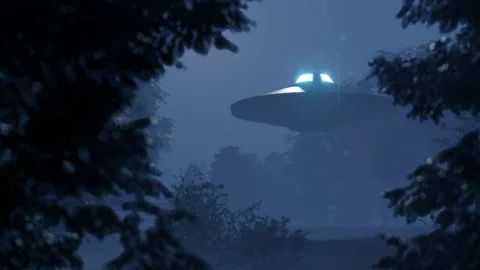 3d. Ufo flew over the wild forest at night Stock Footage 121211657