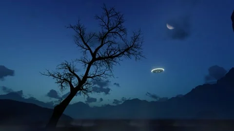 3D Ufo Flew Over The Wild Forest At Night Stock Footage 191493010