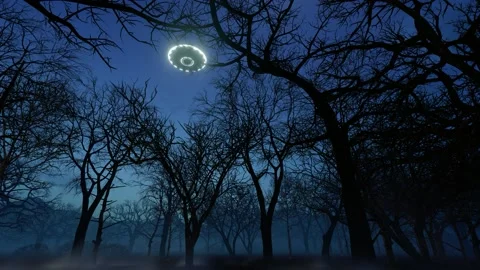 3D Ufo Flew Over The Wild Forest At Night Stock Footage 191493093