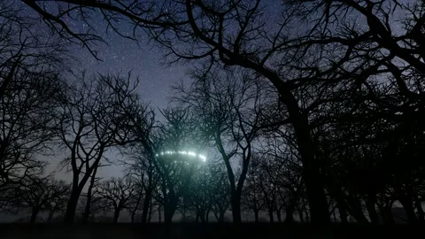 3D Ufo Flew Over The Wild Forest At Night Stock Footage 191493104