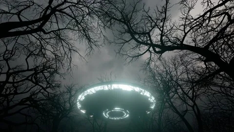 3D Ufo Flew Over The Wild Forest At Night Stock Footage 191493118