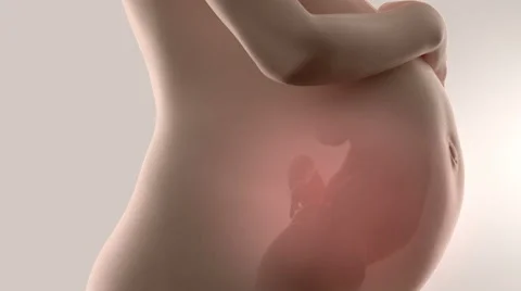 3D ultrasound during pregnancy concept Stock Footage