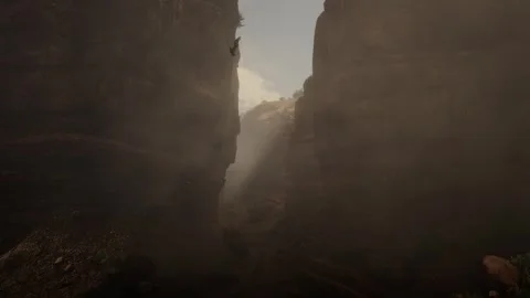 3D. USA. Texas. Big Bend National Park. Vultures' nest Stock Footage 293163779