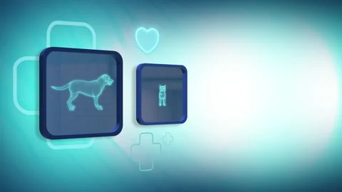 3D veterinary banner with X-ray dog and cat. Space for logo and text. Stock Footage 306785607